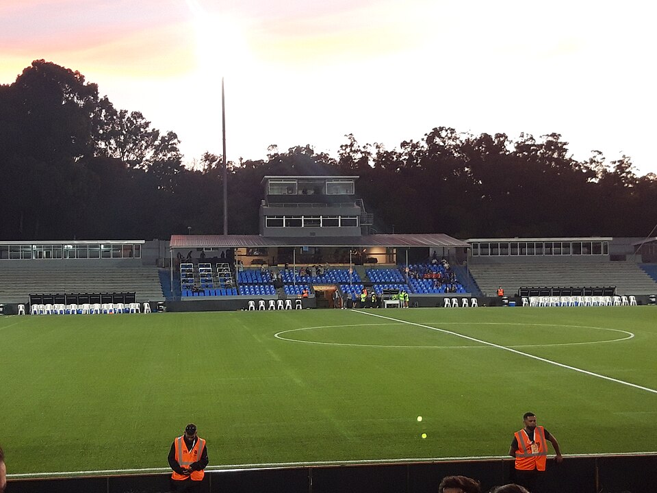 Hinchas peruanos siguiendo noticias deportivas en la tribuna